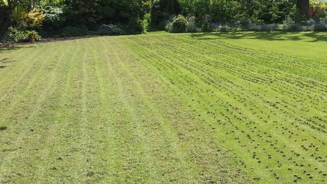 Аериране на тревата