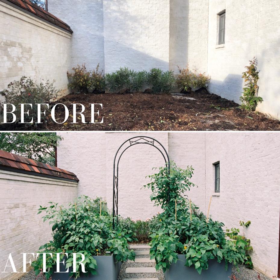 Вила Виолета